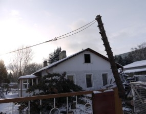 letzter Baum fällt